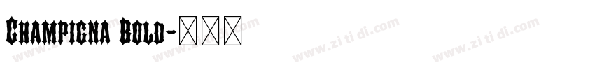 Champigna Bold字体转换